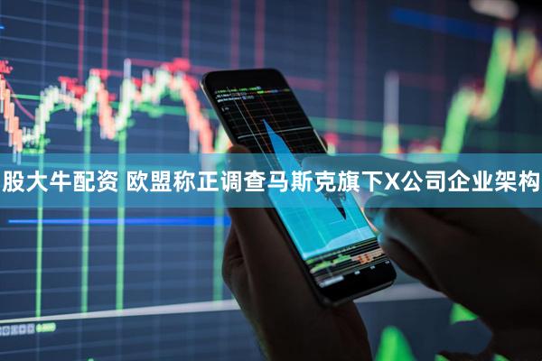 股大牛配资 欧盟称正调查马斯克旗下X公司企业架构