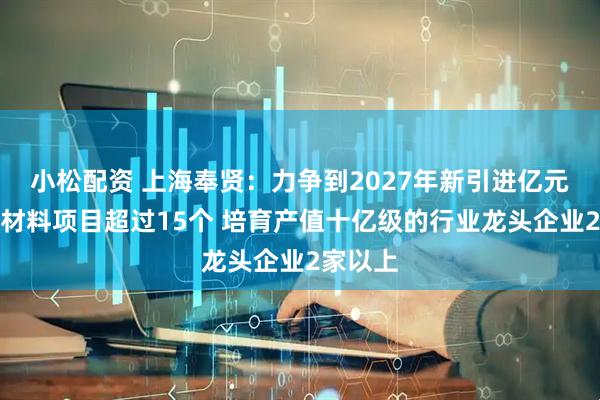 小松配资 上海奉贤：力争到2027年新引进亿元以上新材料项目超过15个 培育产值十亿级的行业龙头企业2家以上