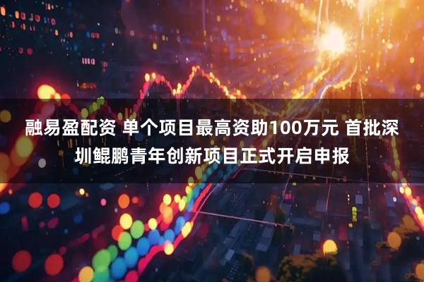 融易盈配资 单个项目最高资助100万元 首批深圳鲲鹏青年创新项目正式开启申报