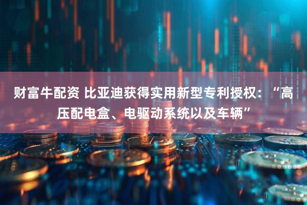 财富牛配资 比亚迪获得实用新型专利授权：“高压配电盒、电驱动系统以及车辆”