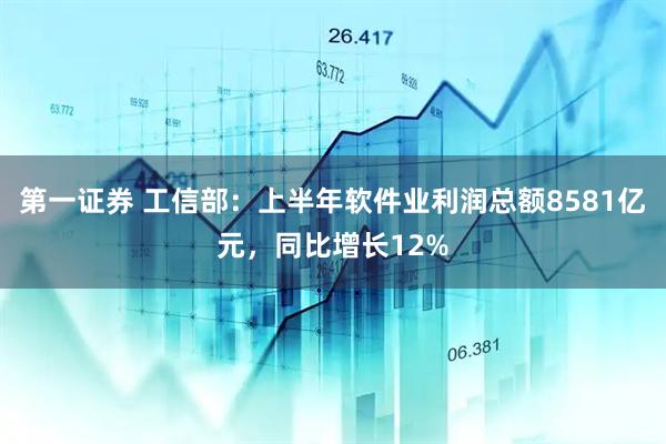 第一证券 工信部：上半年软件业利润总额8581亿元，同比增长12%
